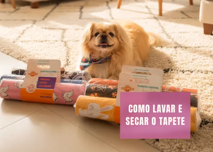 PASSO 2 — COMO LAVAR E SECAR E REPETIR